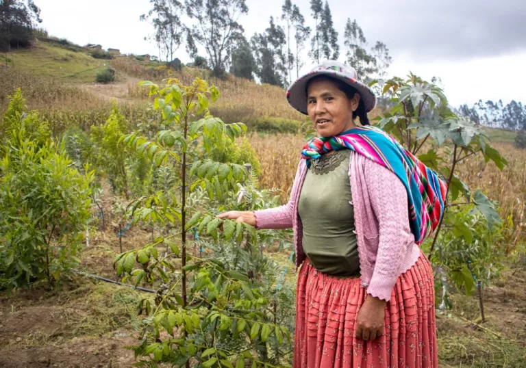 Project visit to Bolivia: thanks to trees, water returns to the Andes