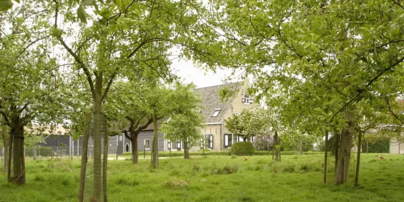 Landschapselementen Zeeland | Zeeuwse bosjes en hagen