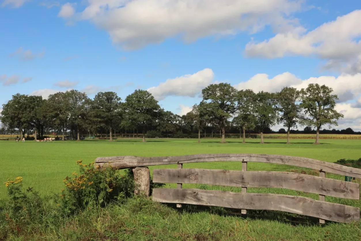 overijssel-door-marlous-4