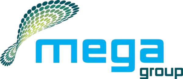 MegaGroup