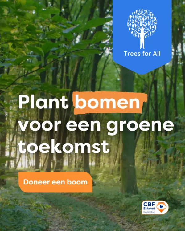 Testbedrijf